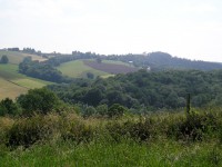 /album/decouvertes-en-balade/balades-plantes-juin-044-jpg/